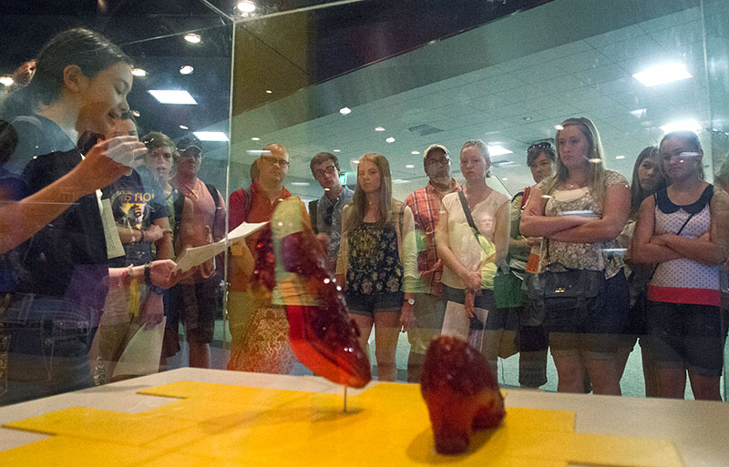 Sarah Pedersen of Barbourville delivers a report on Dorothy's Ruby Slippers from "Wizard of Oz" to Pop Culture classmates and other tourists at the National Museum of American History in Washington, D.C., Tuesday, June 30. (Photo by Sam Oldenburg)