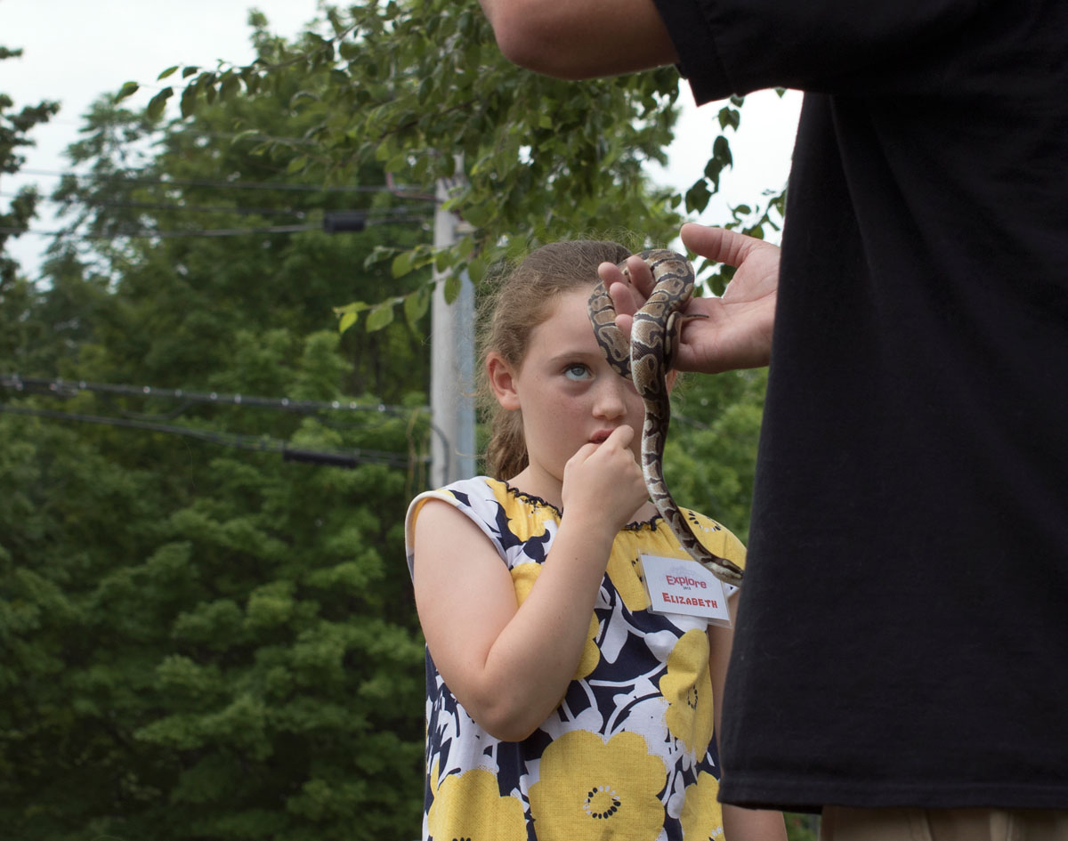 Camp Explore student Elizabeth approaches a ball python held by Chris from Zoodles during a presentation at Camp Explore Monday, July 6. Elizabeth was chosen to have the snake wrapped around her wrist. (Photo by Emilie Milcarek)