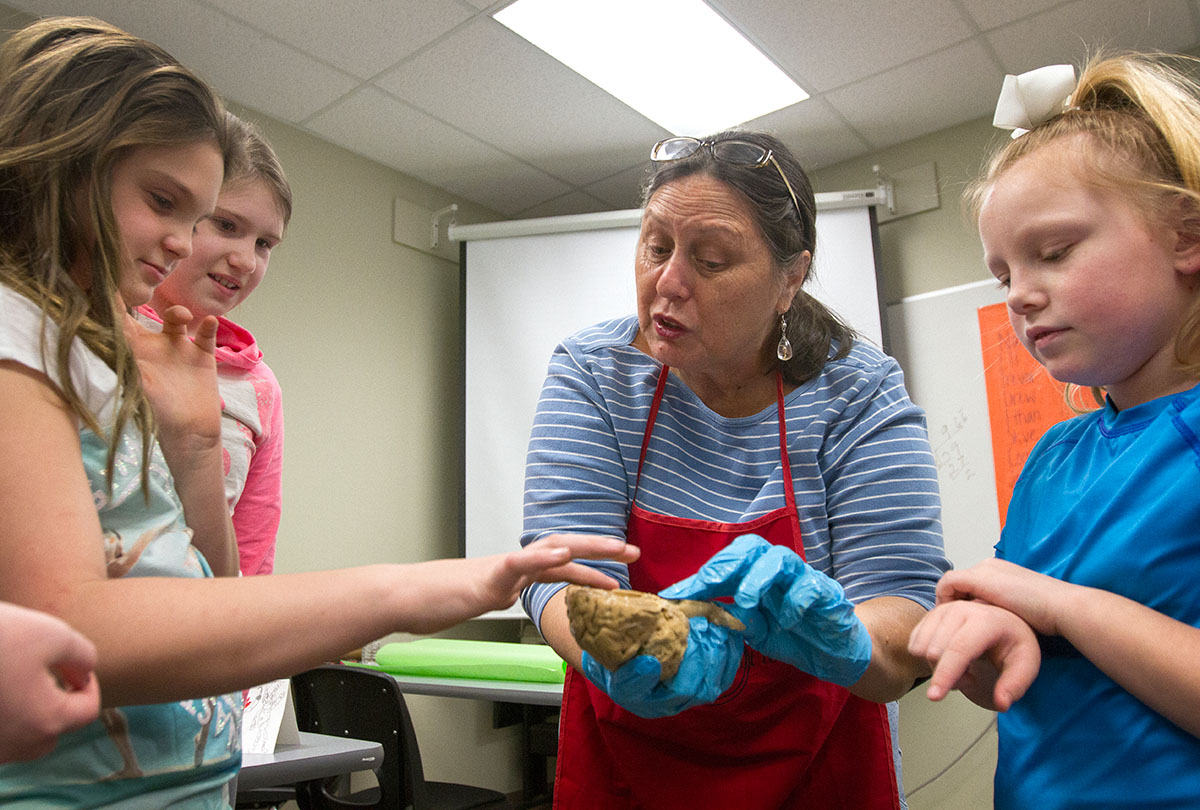 Nita Cole allows her students to examine a human brain in Science 'R Us.