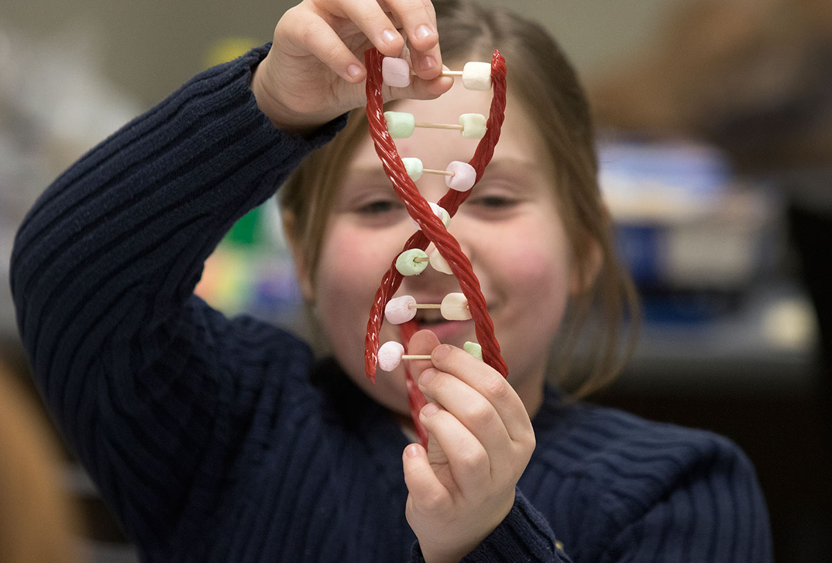 A student admires the DNA model she created in CSI Jr. Detecitve Academy.