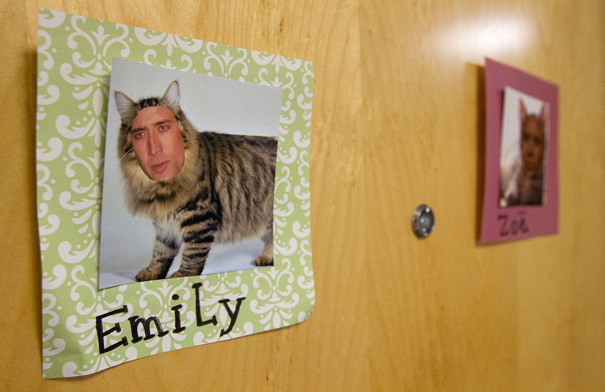 Nicholas Cage, animal-themed door decorations mark the doors of campers in Ellie's group. (Photo by Sam Oldenburg)