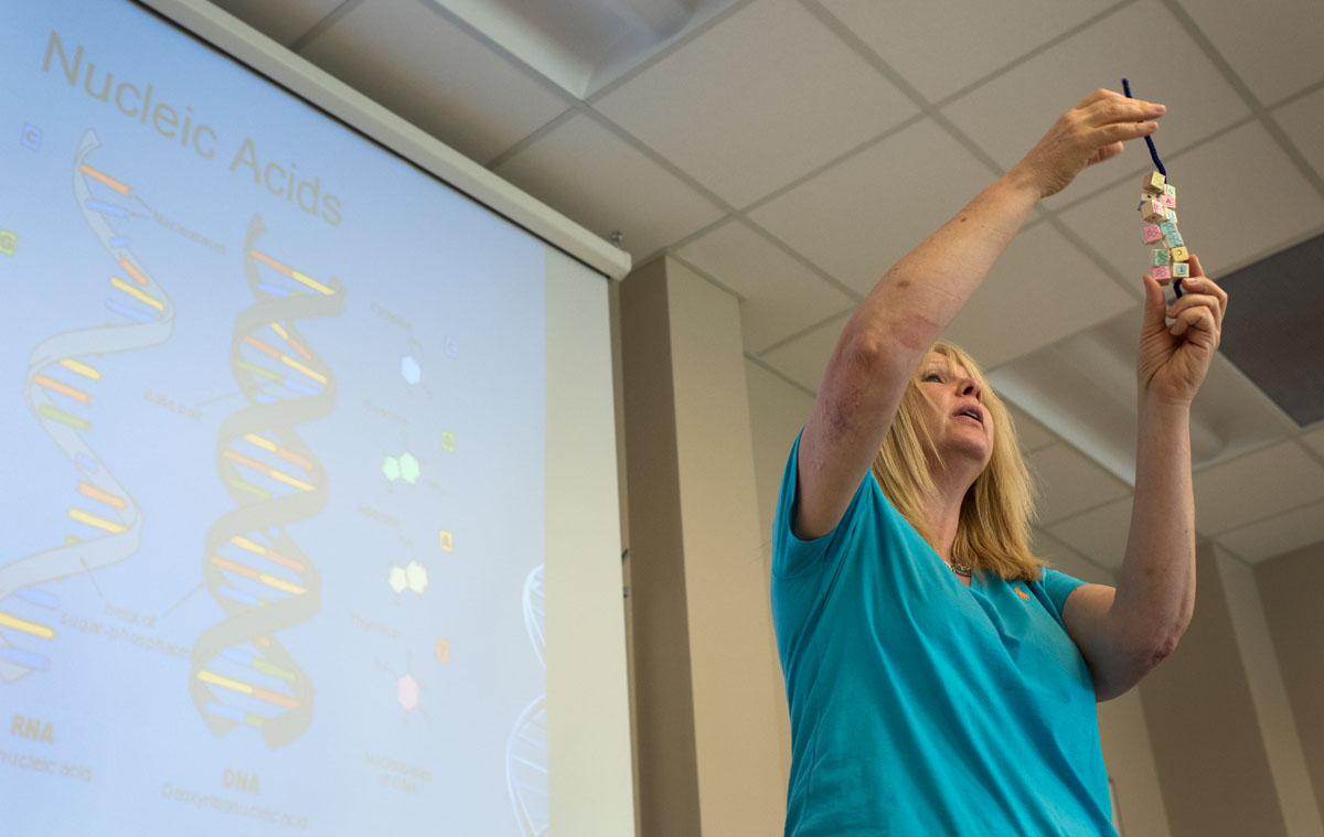 WKU biology professor Kerrie McDaniel demonstrates the usefulness of a double helix model made using classroom materials to the National Stem Cell Foundation Scholars on Wednesday, June 8. Kerrie shared life science lessons each afternoon. (Photo by Tucker Allen Covey)