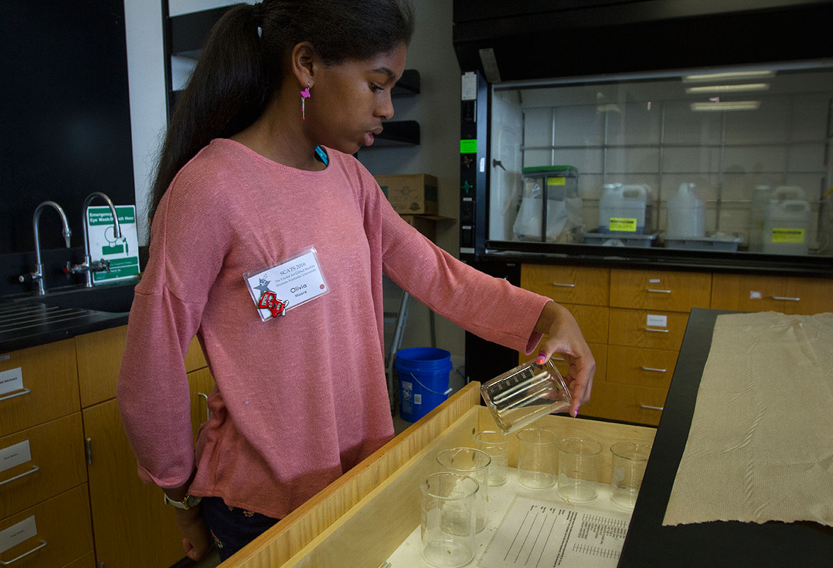 Olivia Moore of Bowling Green takes inventory of her supply drawer before starting a lab in Chemistry of Everyday Monday, June 13. (Photo by Sam Oldenburg)