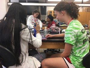 DNA and Genetics students work on a project.